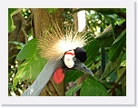 At_the _zoo (12) * 2048 x 1536 * (1.3MB)